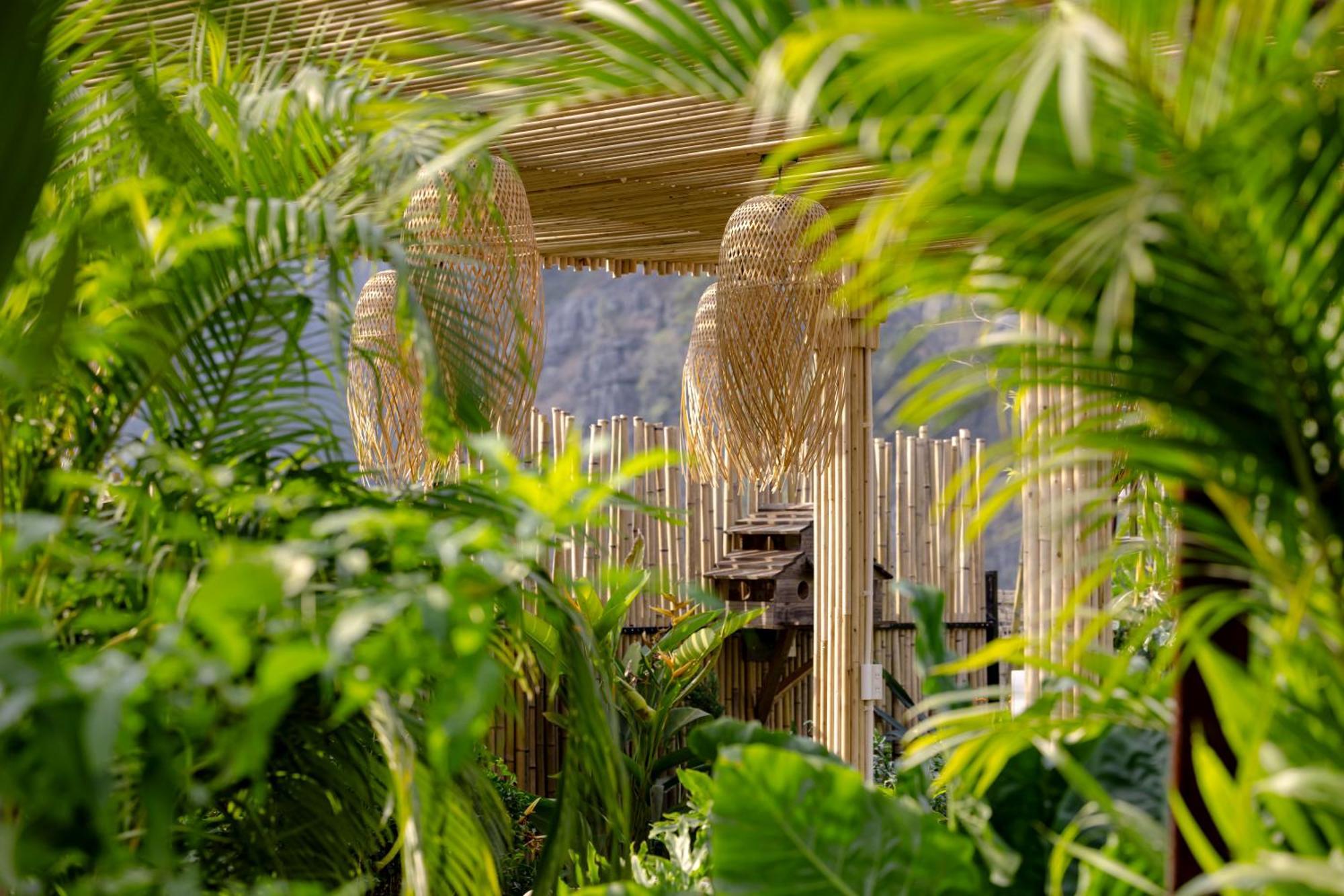 Scenic Mountain Ecolodge Нин Бин Екстериор снимка